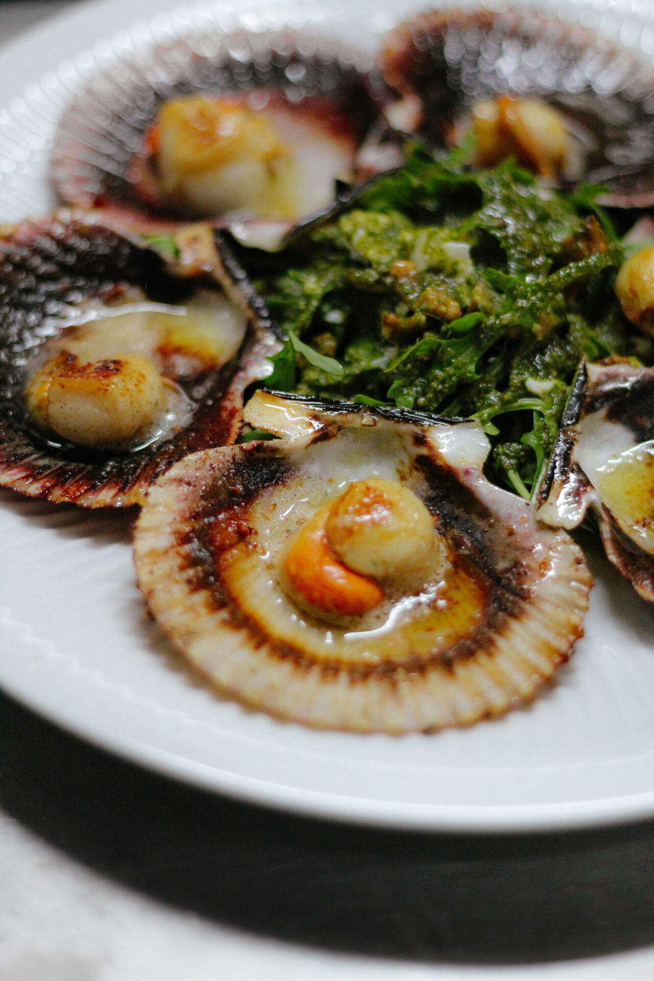 Vieiras / Scallops