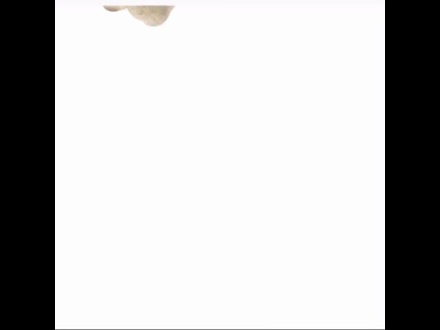 Publicité la tropicale