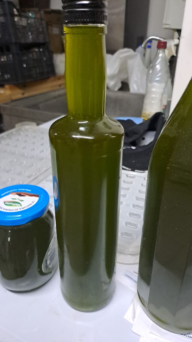 Olio extravergine di oliva nostra produzione 