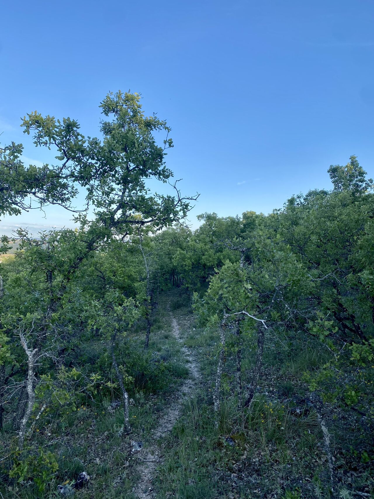 Rutas para encontrarse