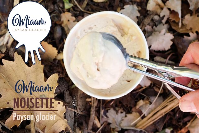 Crème glacée Noisette