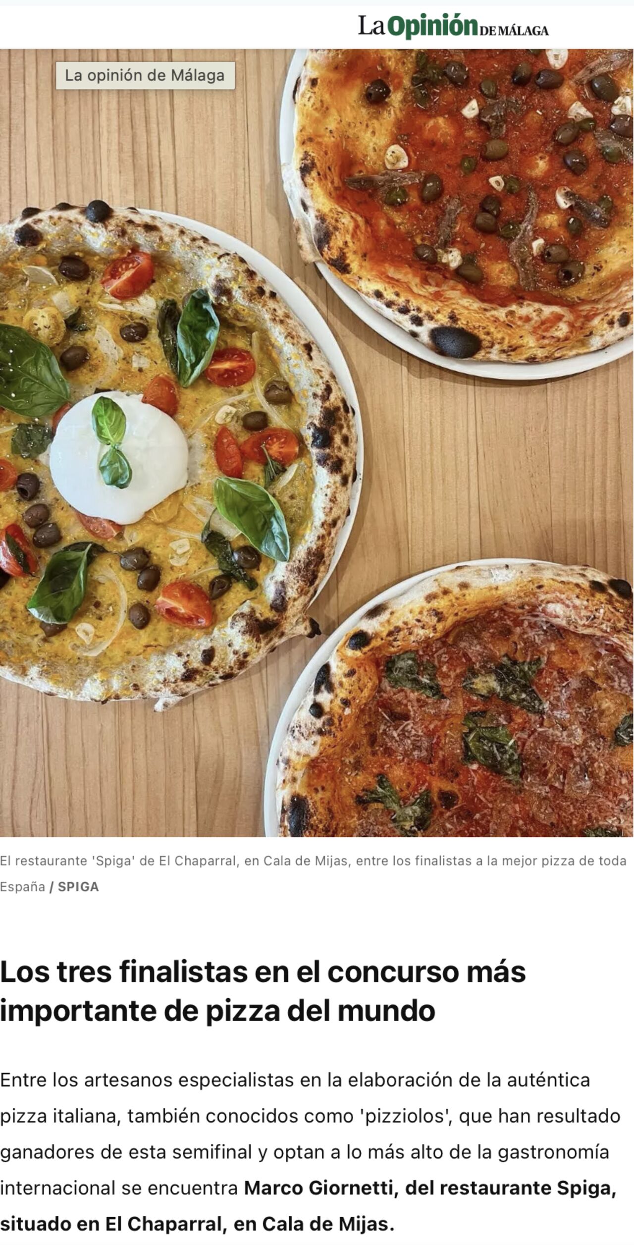 PIZZA BIT FINAL