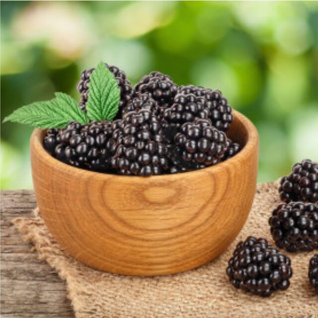 Mûre barquette d'Alsace - 125gr - 2,28€