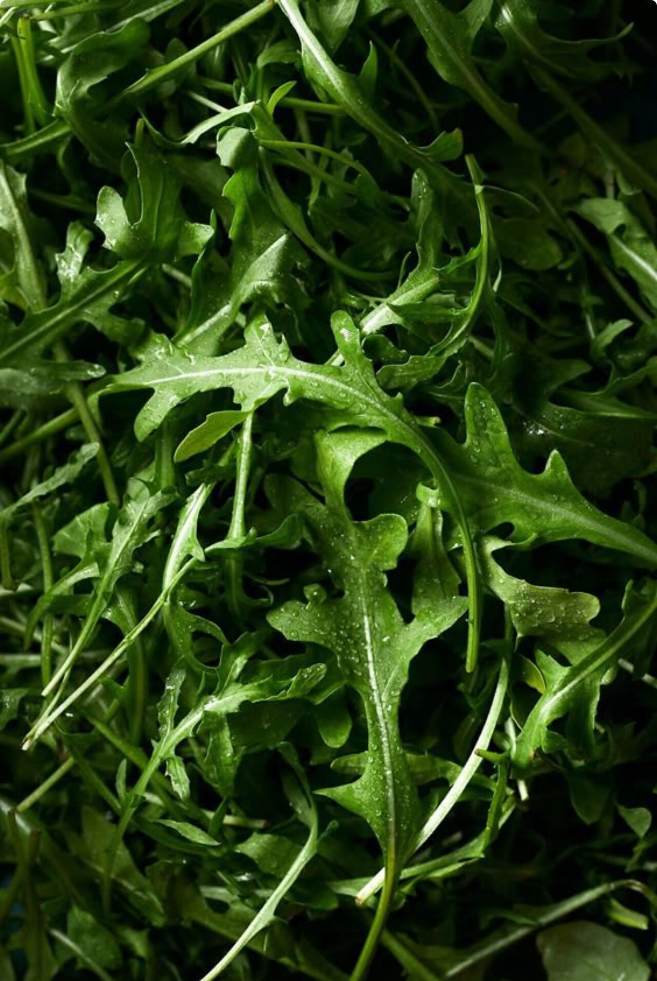 SERVICES: Repas d'entreprises