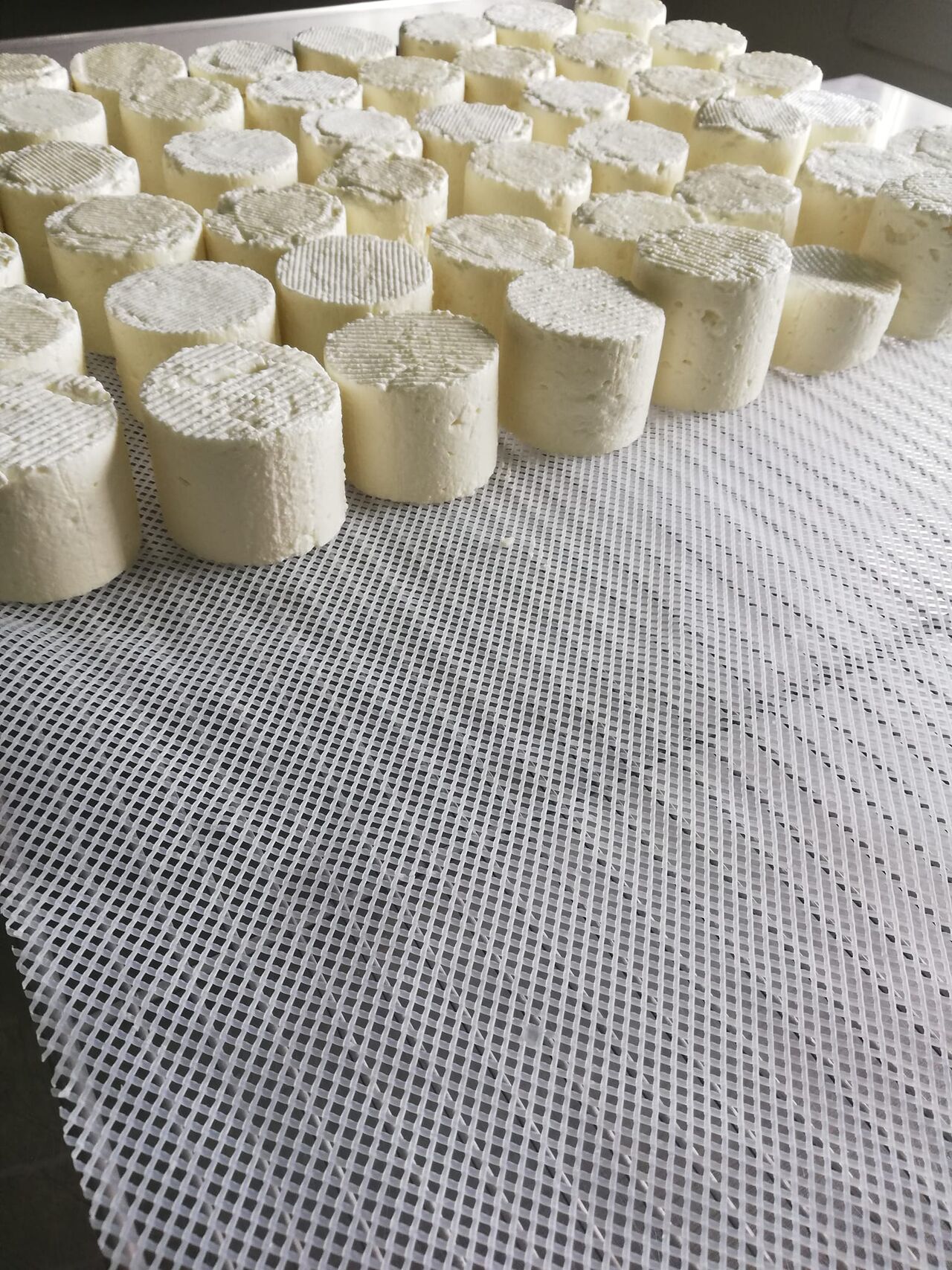 CROTTINS DE CHEVRES DEMOULES