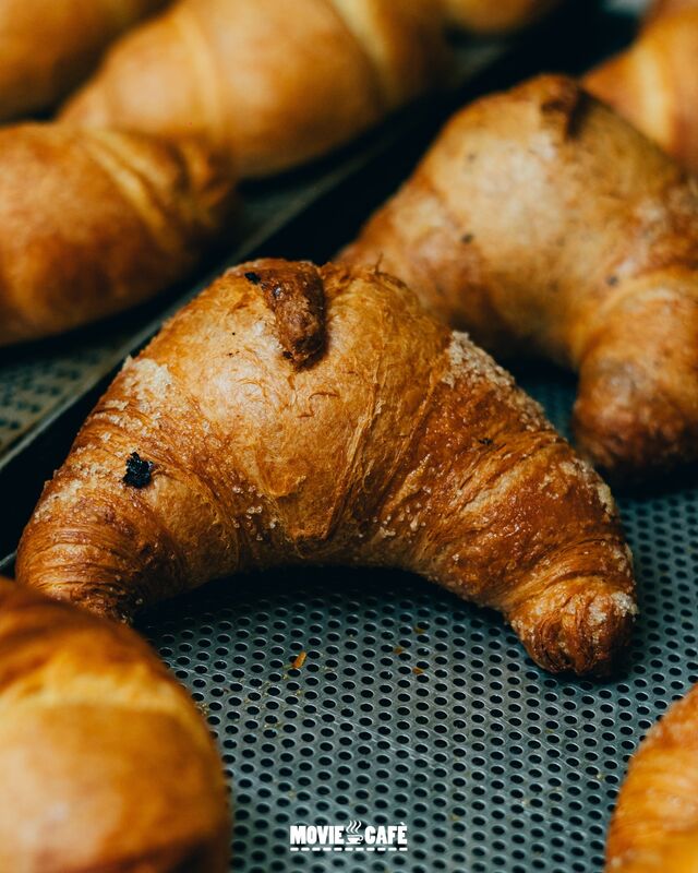 L’intramontabile ai 5 cereali, leggerissimo ad alta digeribilità indicato per gli intolleranti al lattosio