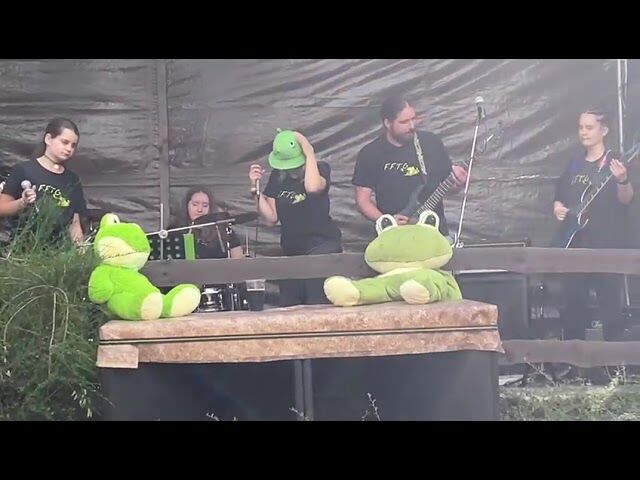 ŽÁBY Z GARÁŽE IV.ROCK FEST