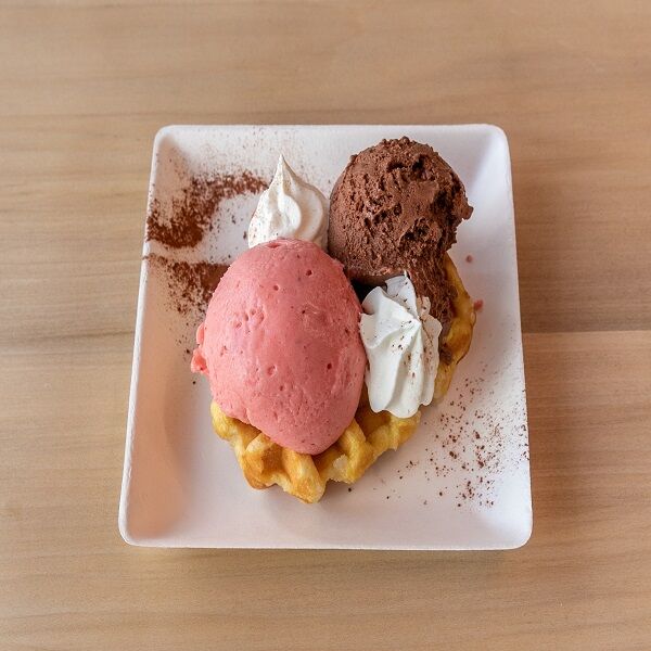 Waffle con gelato
