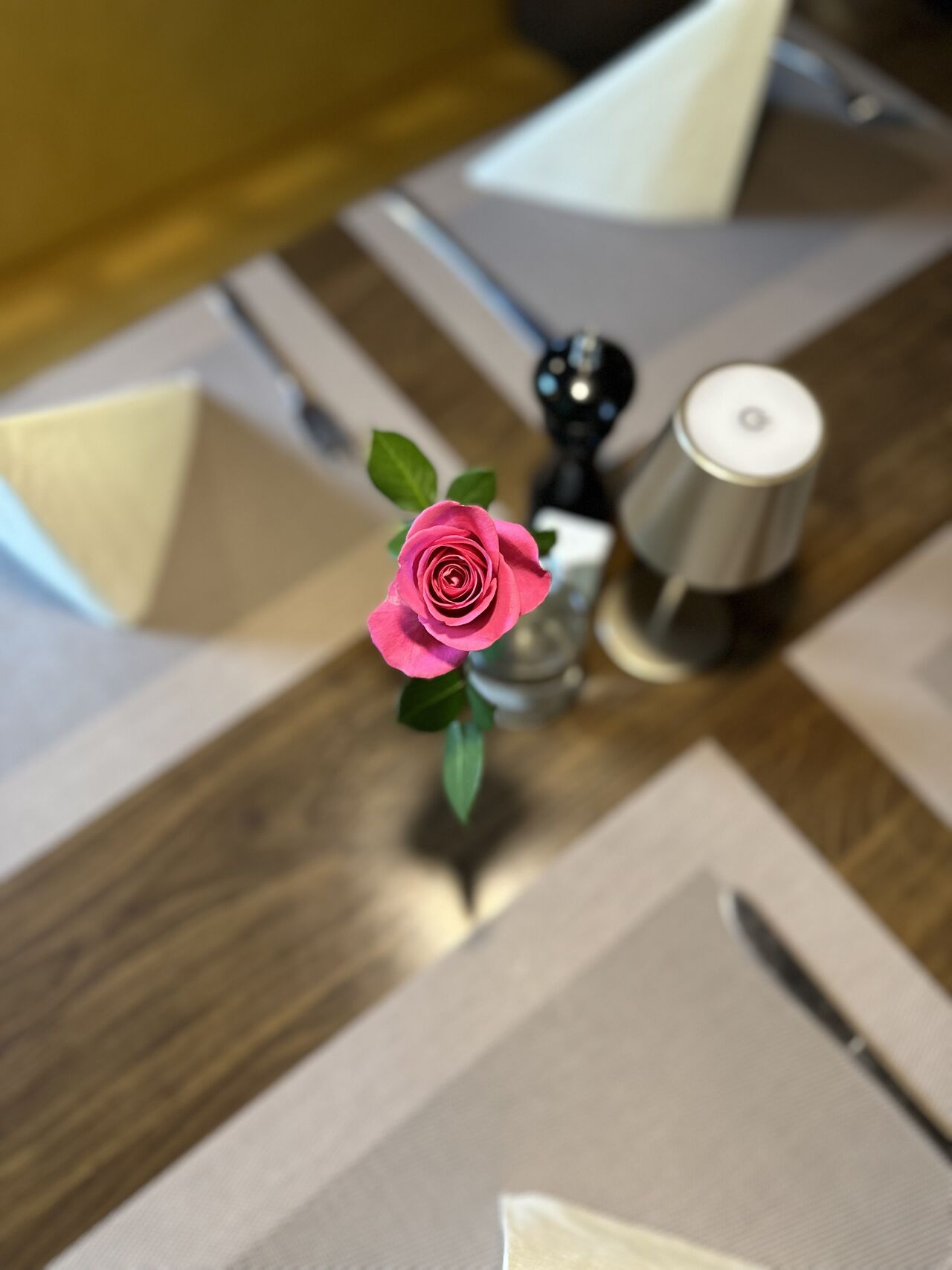 Eine Rose 