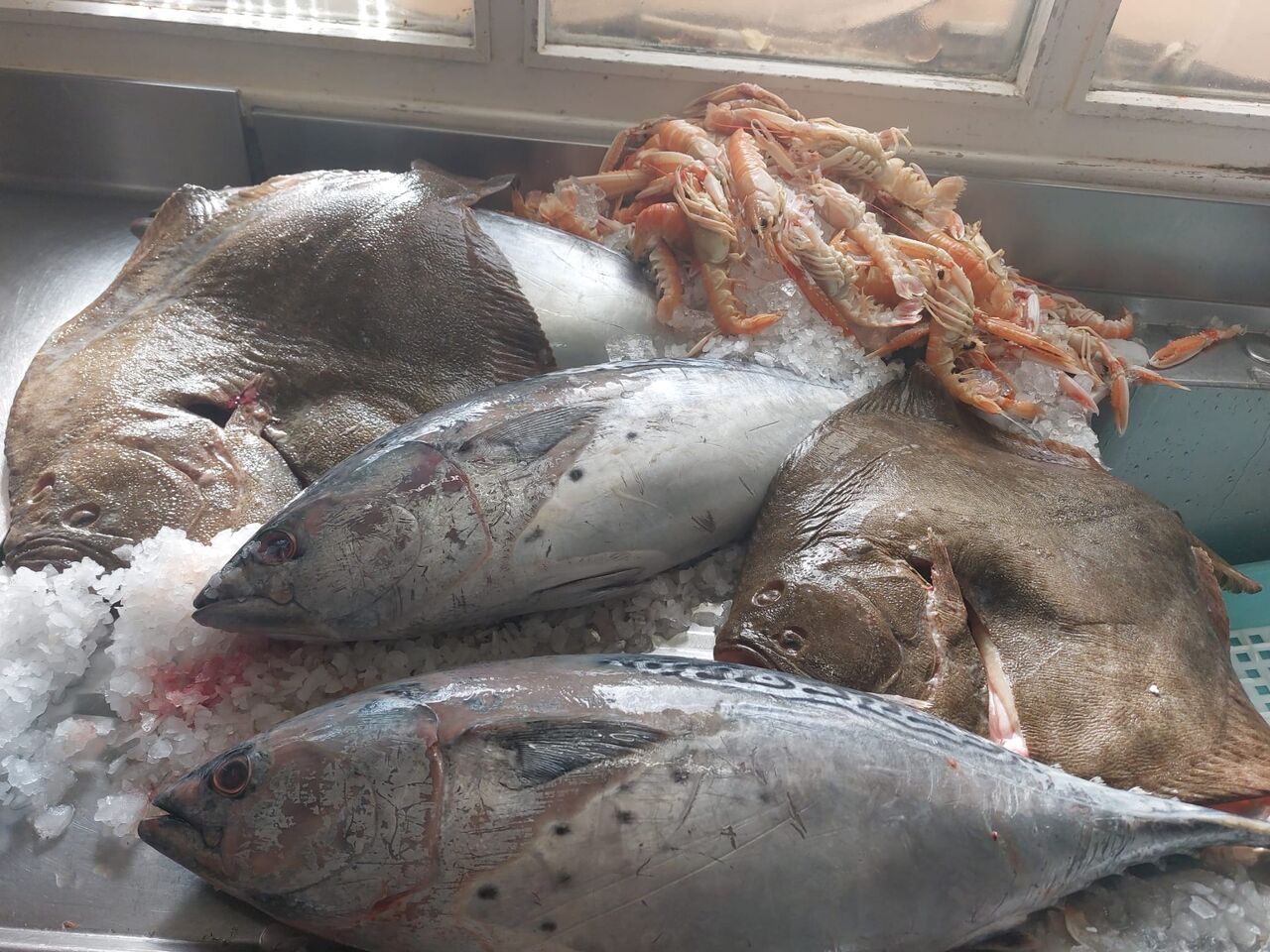 Bonites, turbots et langoustines