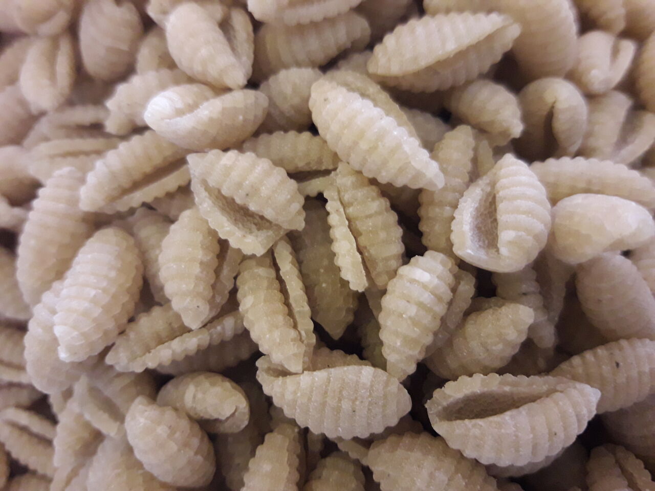 MALLOREDDUS FRESCHI O SECCHI